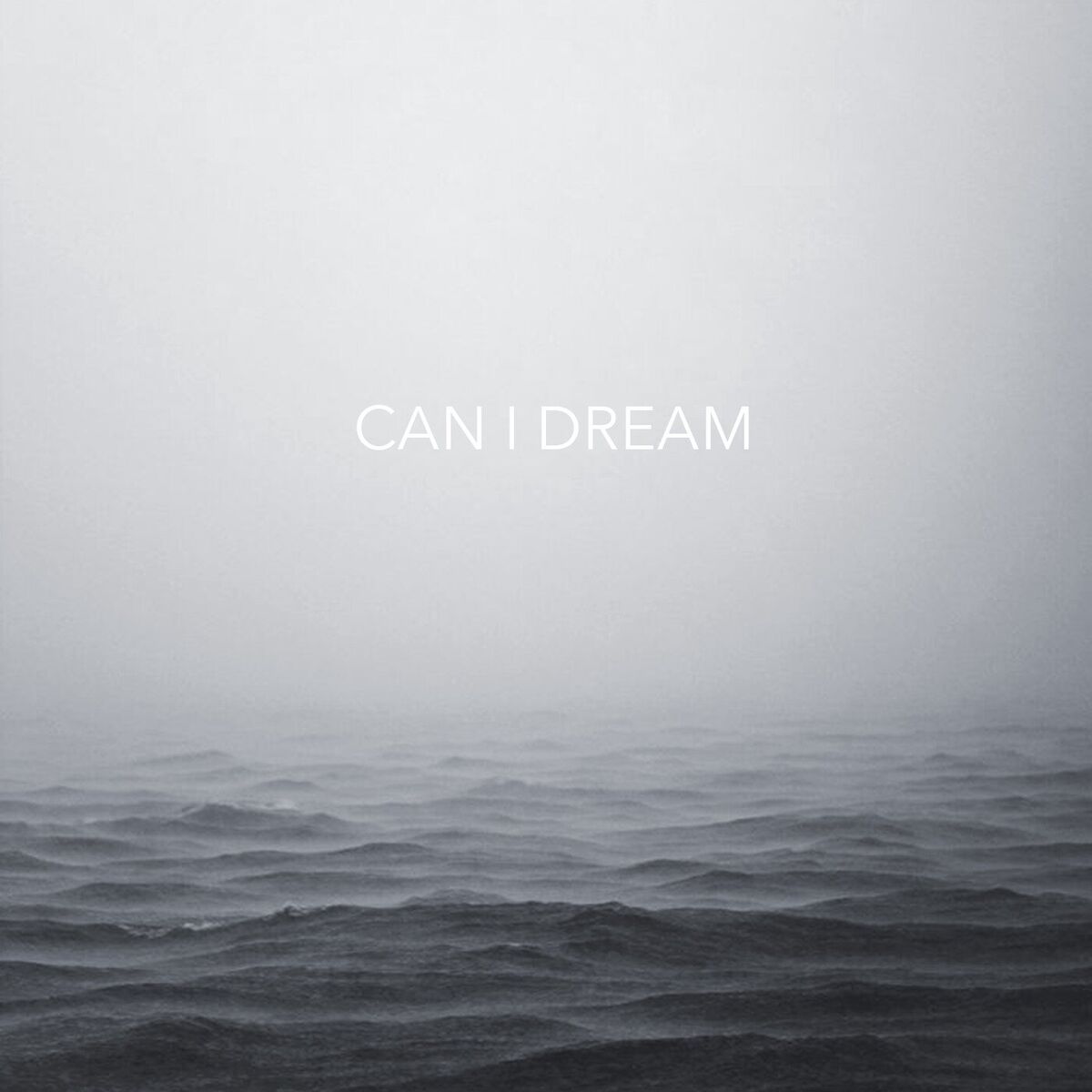 Album cover of Can I Dream