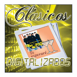 Cover of Te Esperaré (Clásicos Digitalizados)