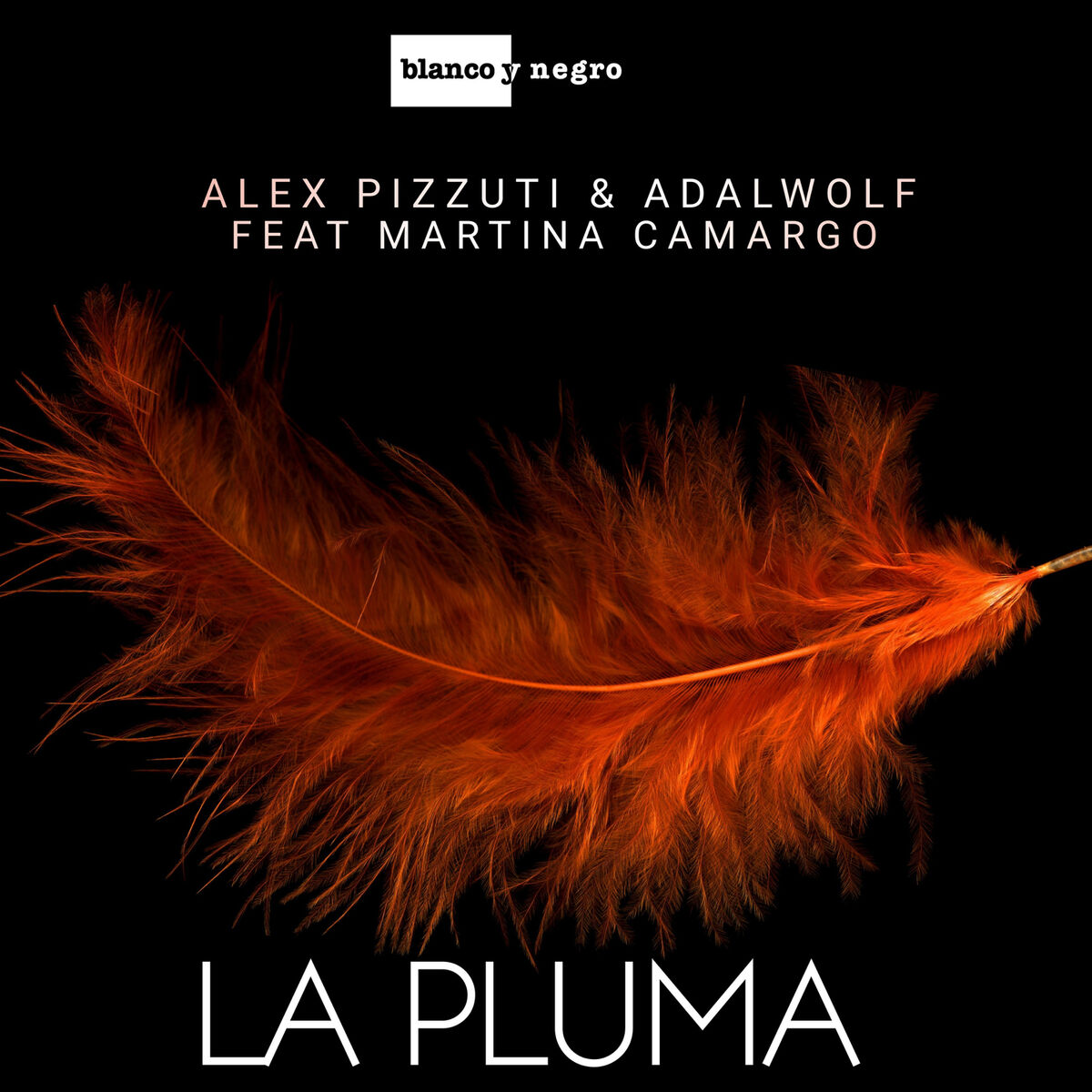 Album cover of La Pluma