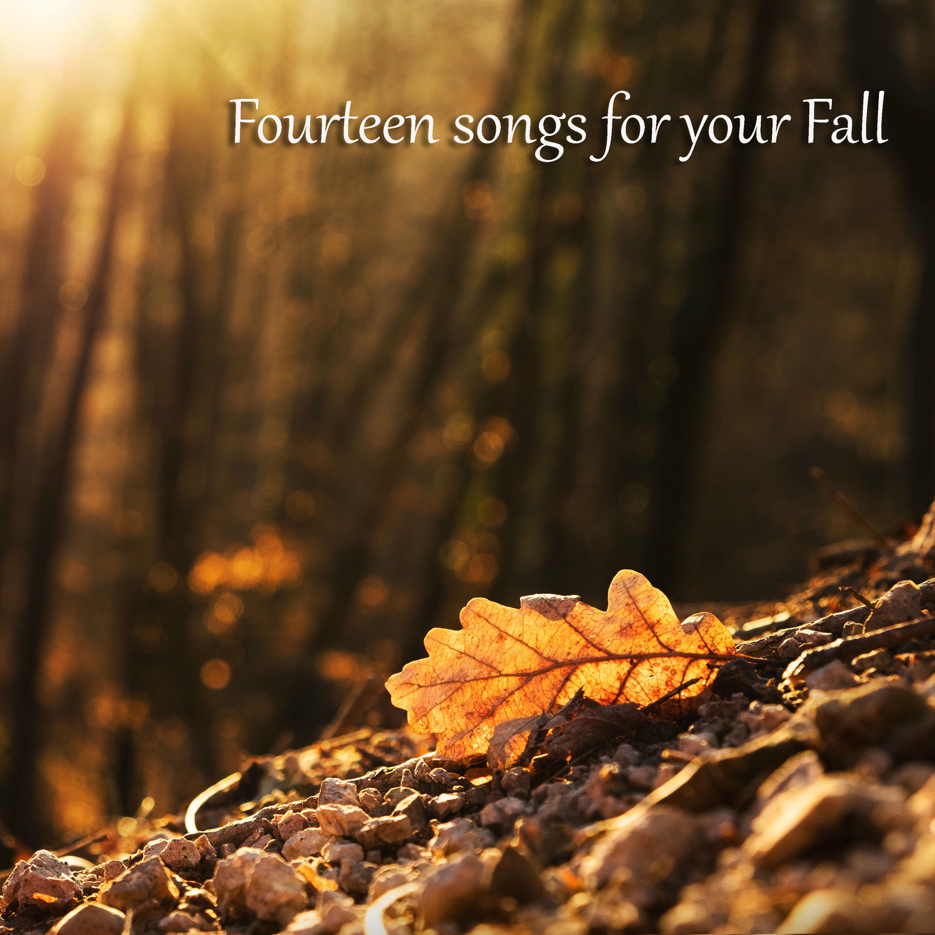 Album cover of Fourteen songs for your Fall