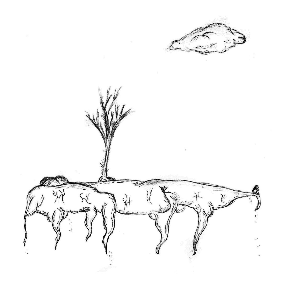 Album cover of Self Deprecator