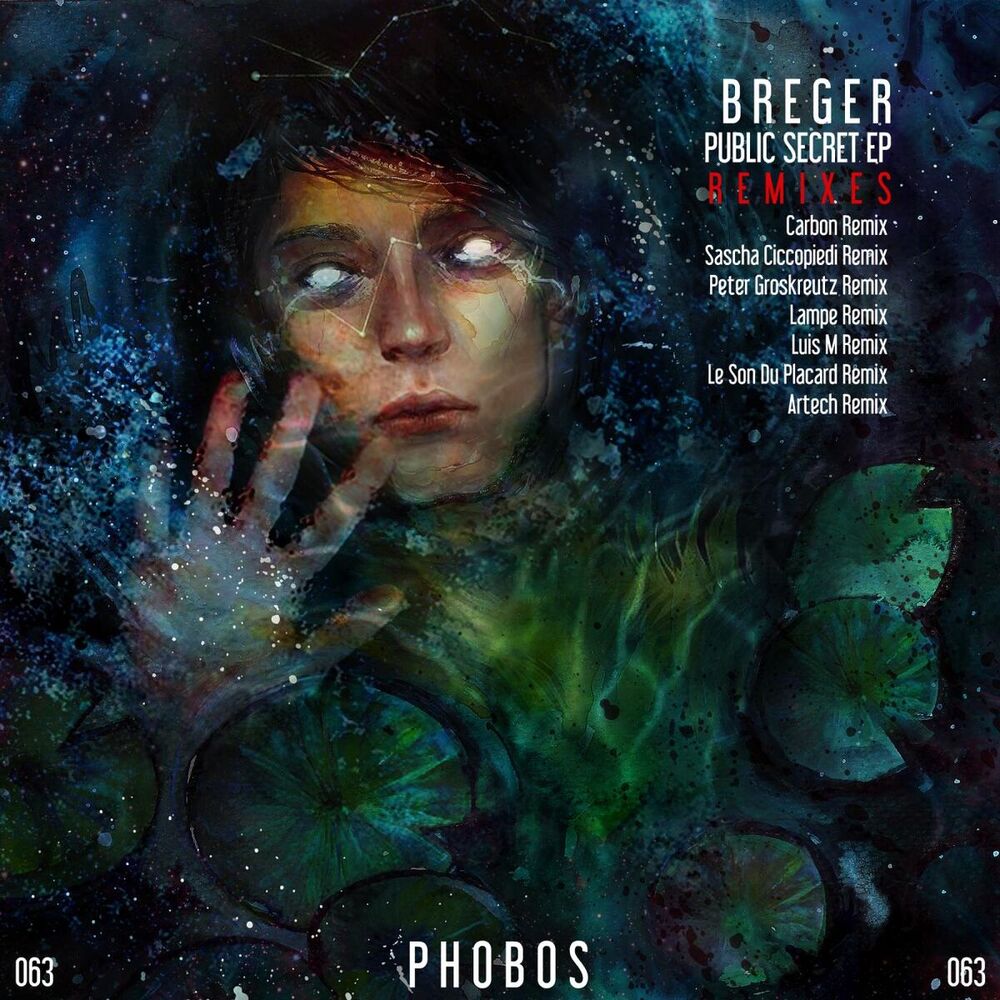 Picture of Public Secret EP (Remixes)