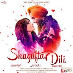 Cover of Shagufta Dili