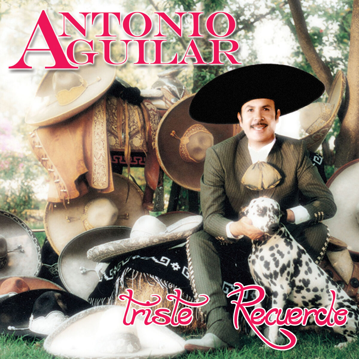 Album cover of Triste Recuerdo