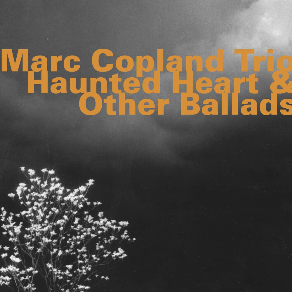 Picture of Haunted Heart & Other Ballads