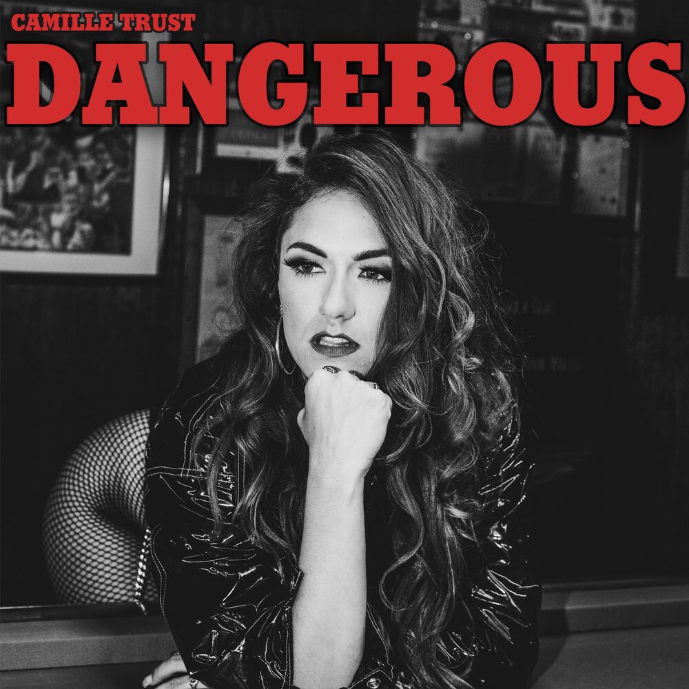 Picture of Dangerous