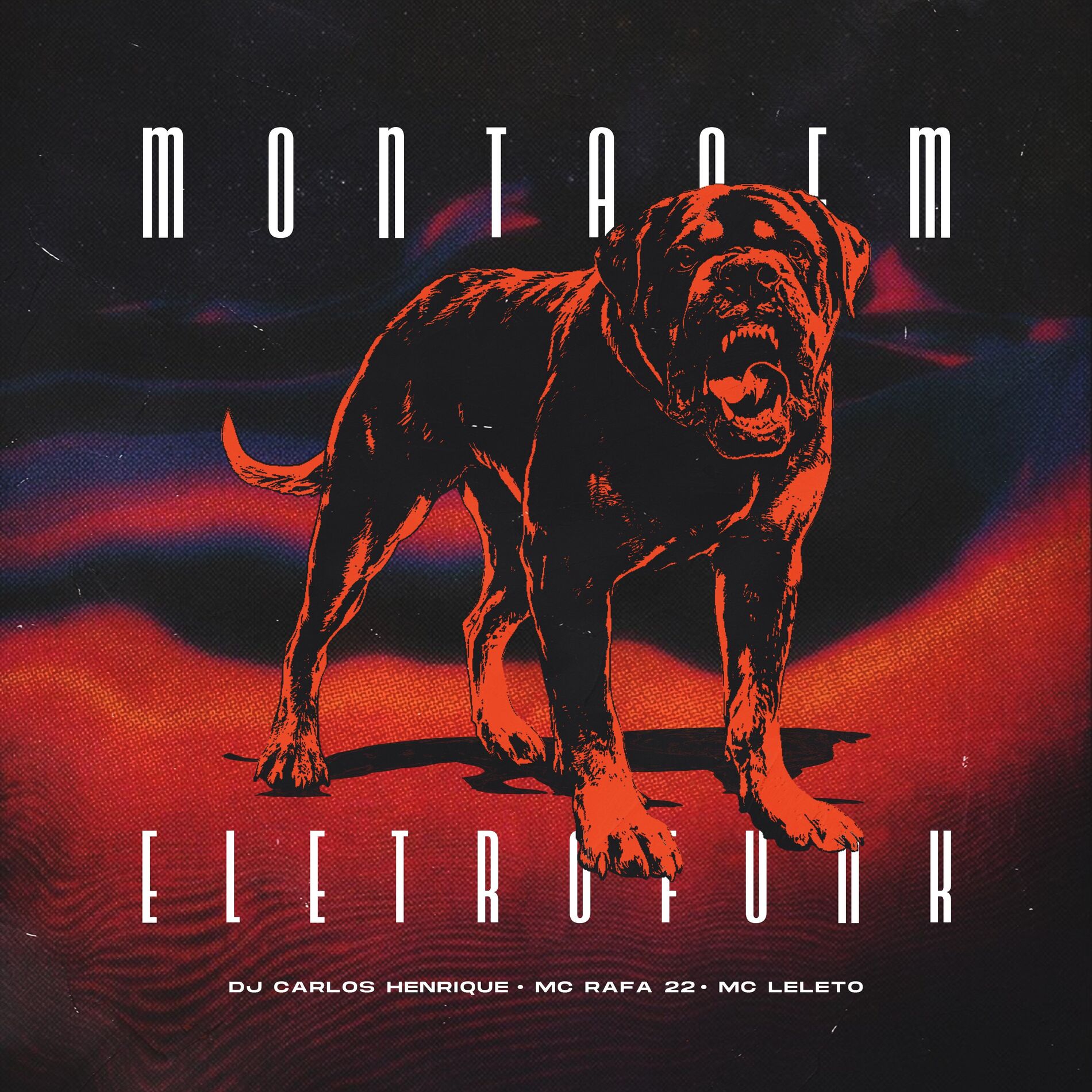 Album cover of Montagem Eletrofunk