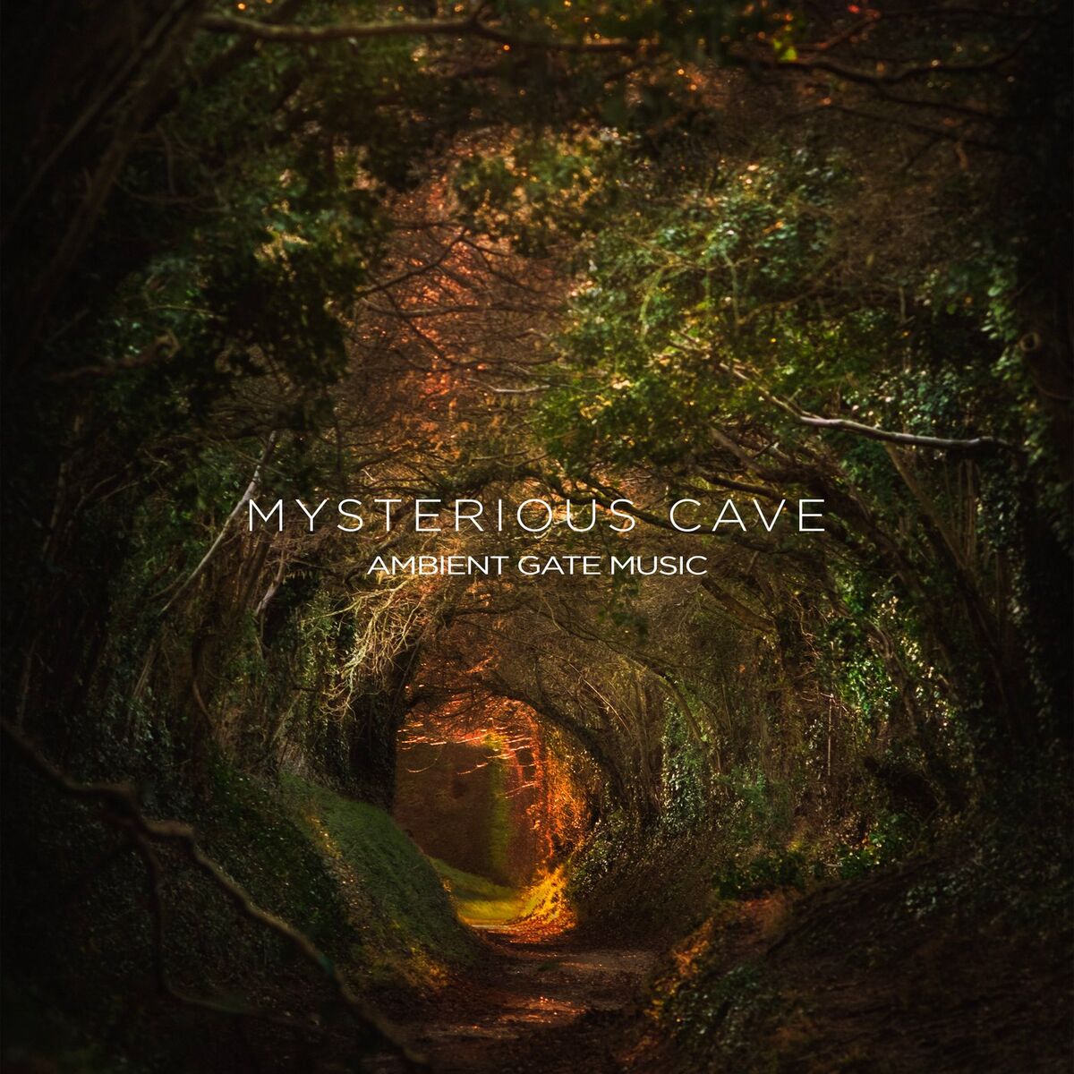 Album cover of Aventure