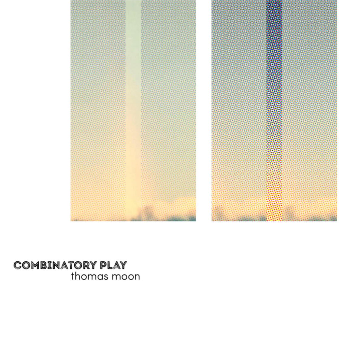 Album cover of Combinatory Play