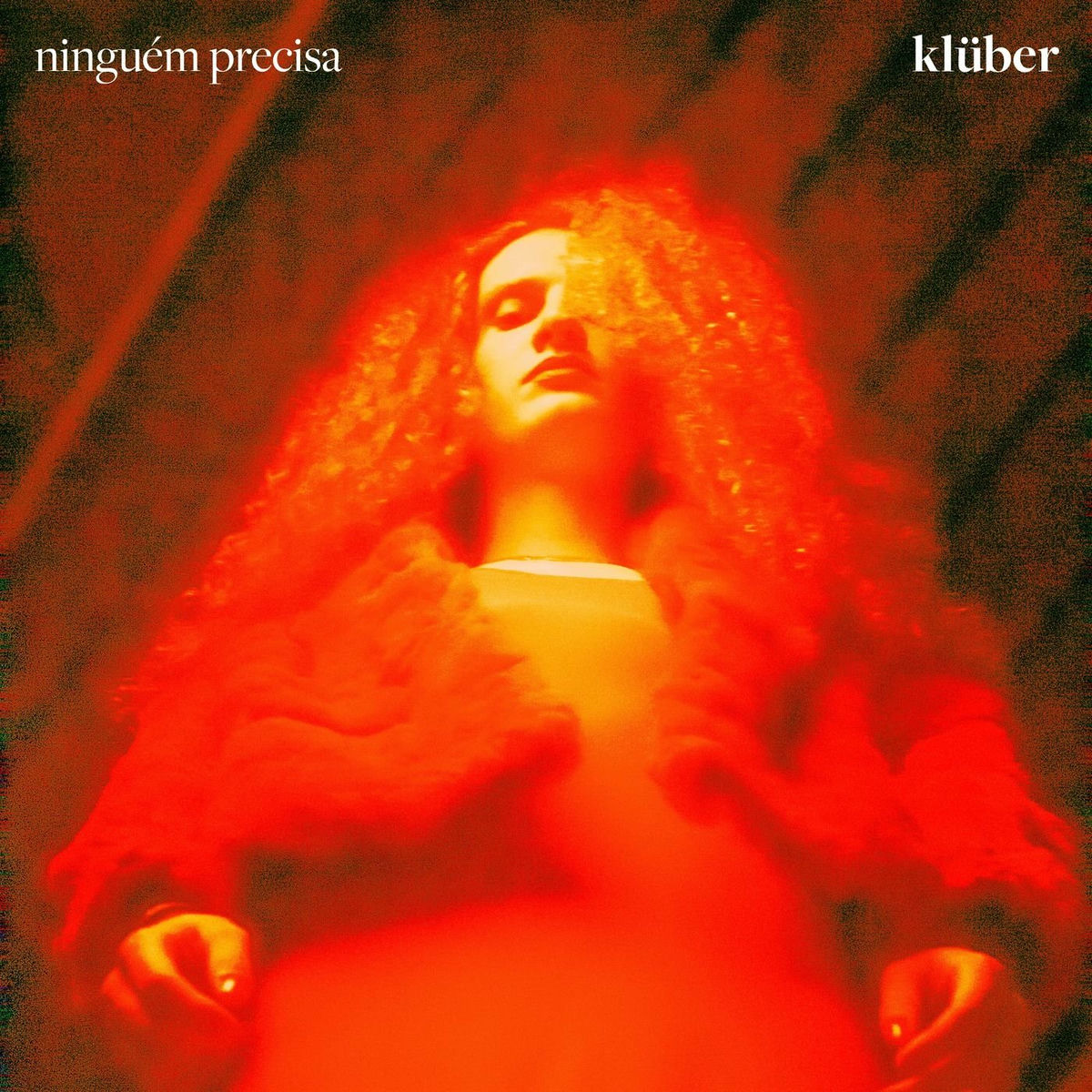 Album cover of Ninguém Precisa