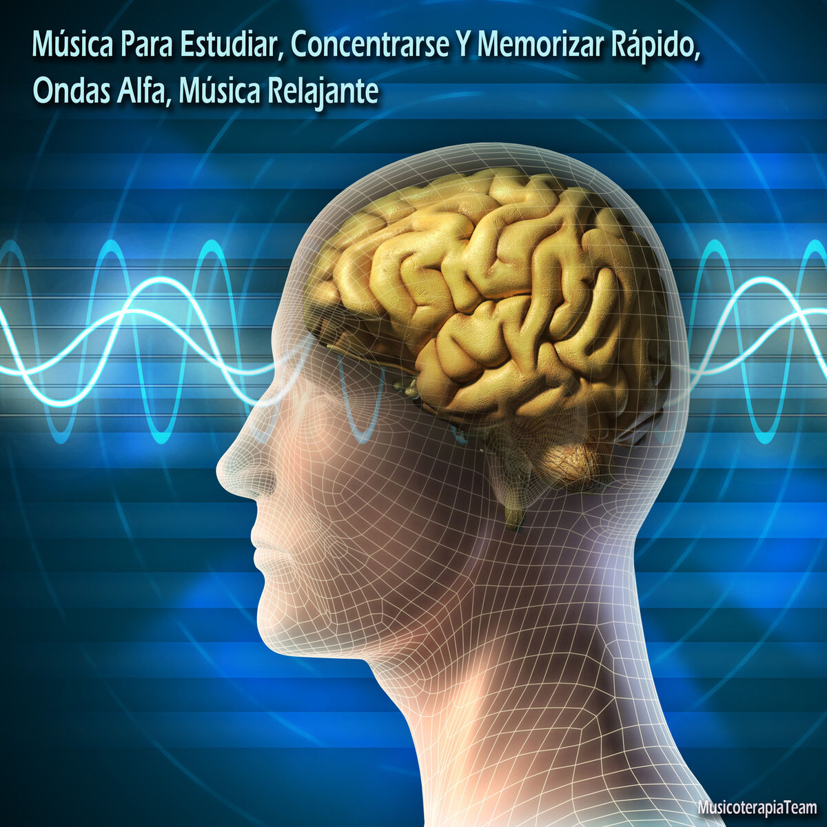 Album cover of Música Para Estudiar, Concentrarse Y Memorizar Rápido, Ondas Alfa, Música Relajante
