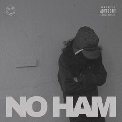 Cover of NO HAM