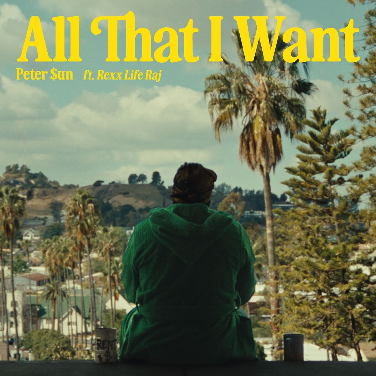 Album cover of All That I Want