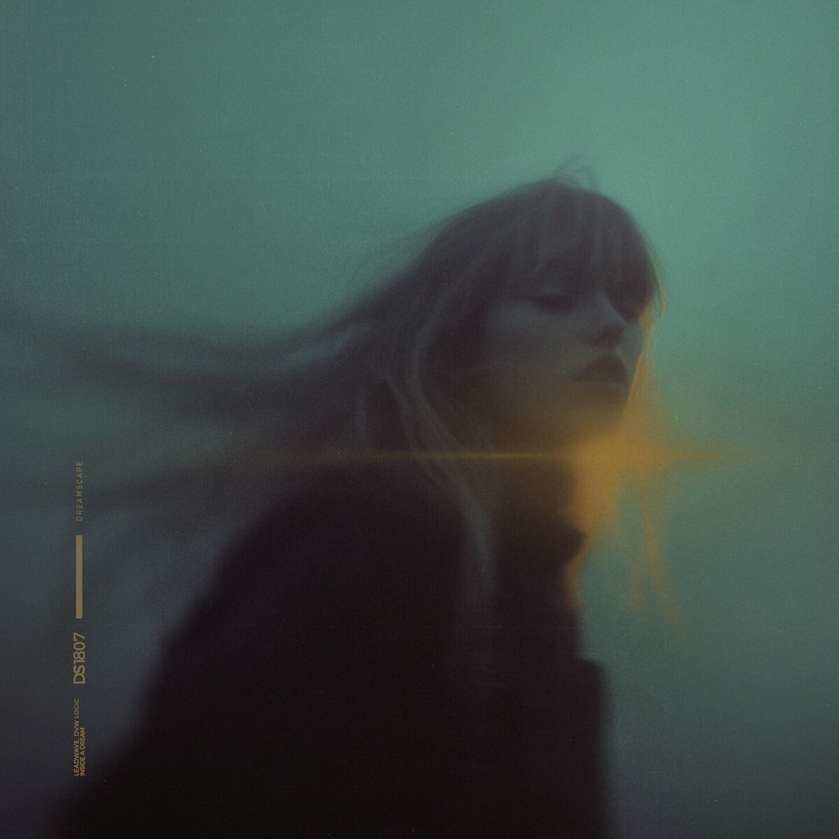 Album cover of inside a dream