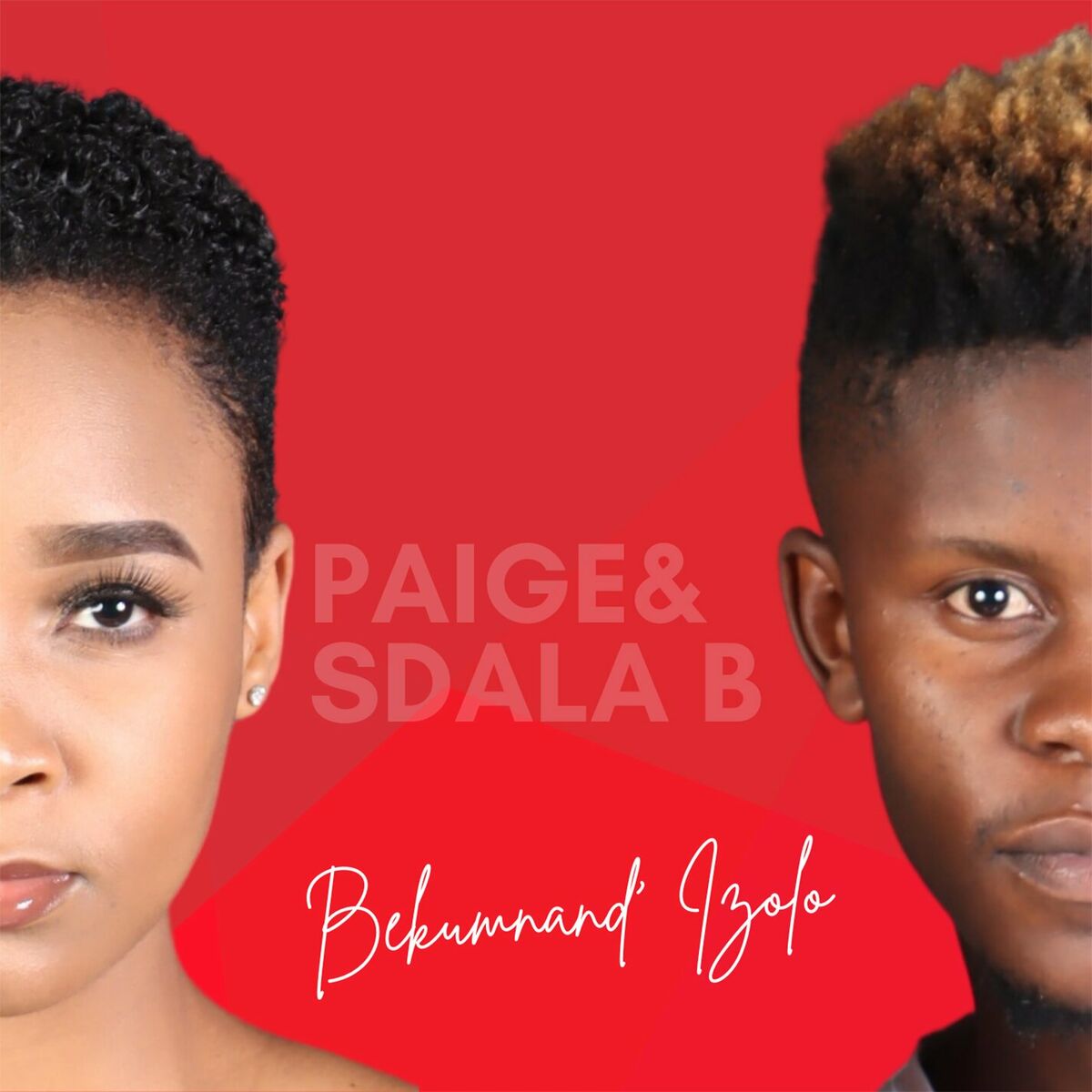 Album cover of Bekumnand' Izolo
