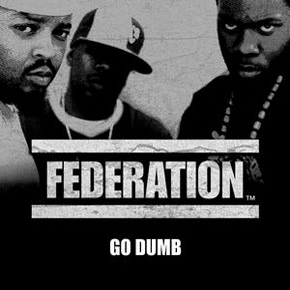 Picture of Go Dumb