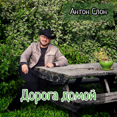 Дорога домой