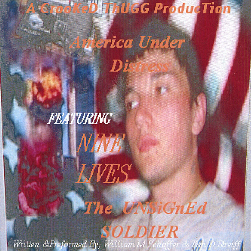 Picture of America Under Distress The Unsigned Soldier