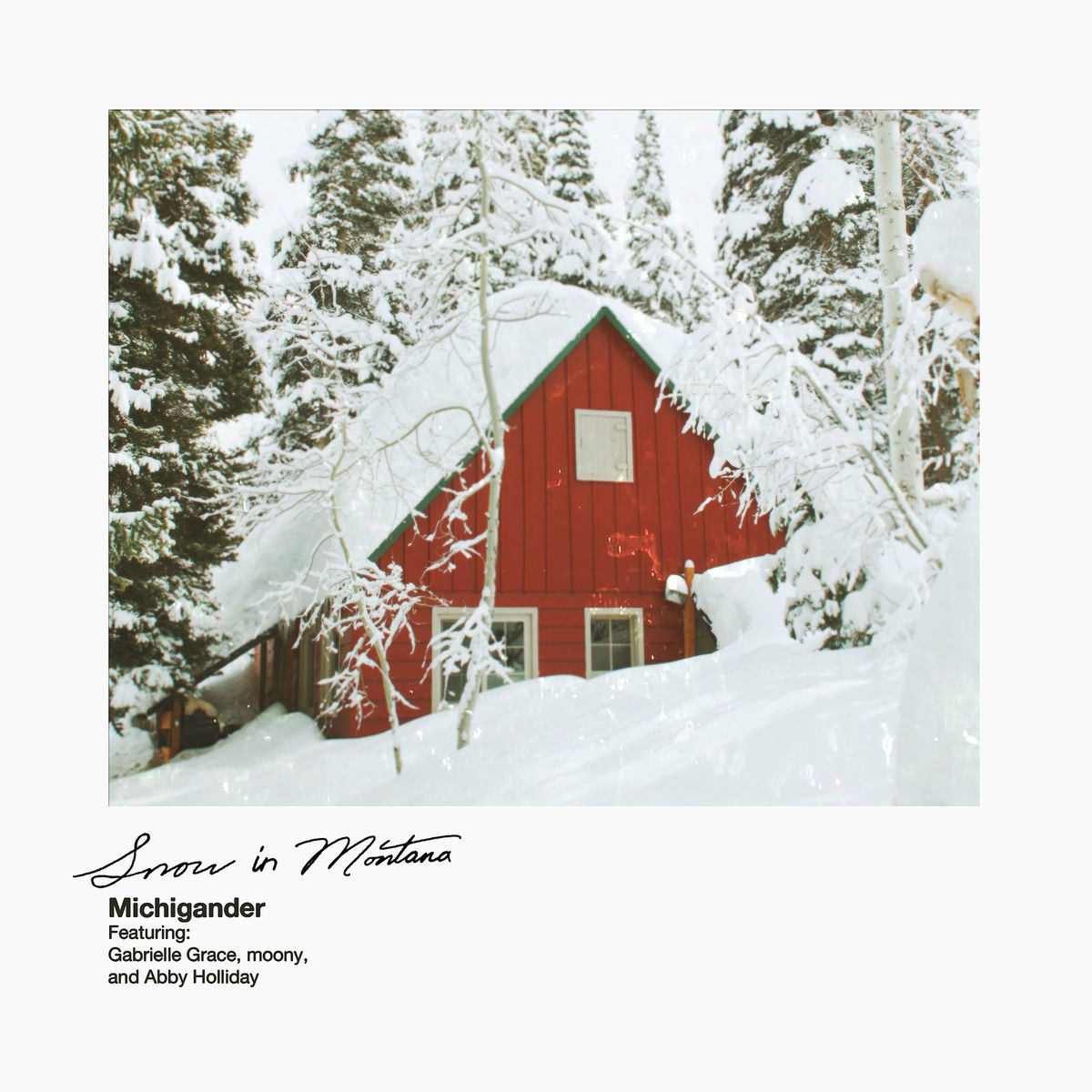 Album cover of Snow in Montana