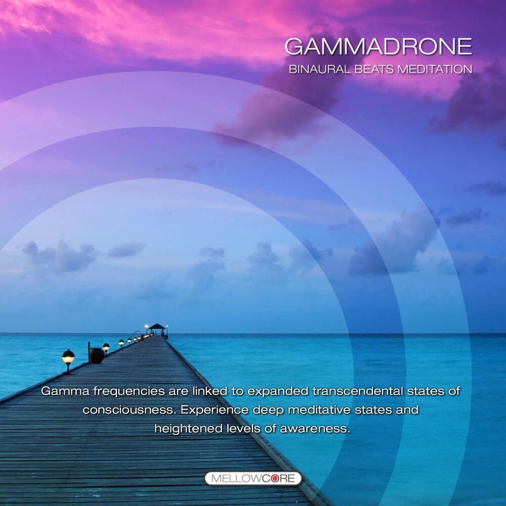 Picture of Gammadrone