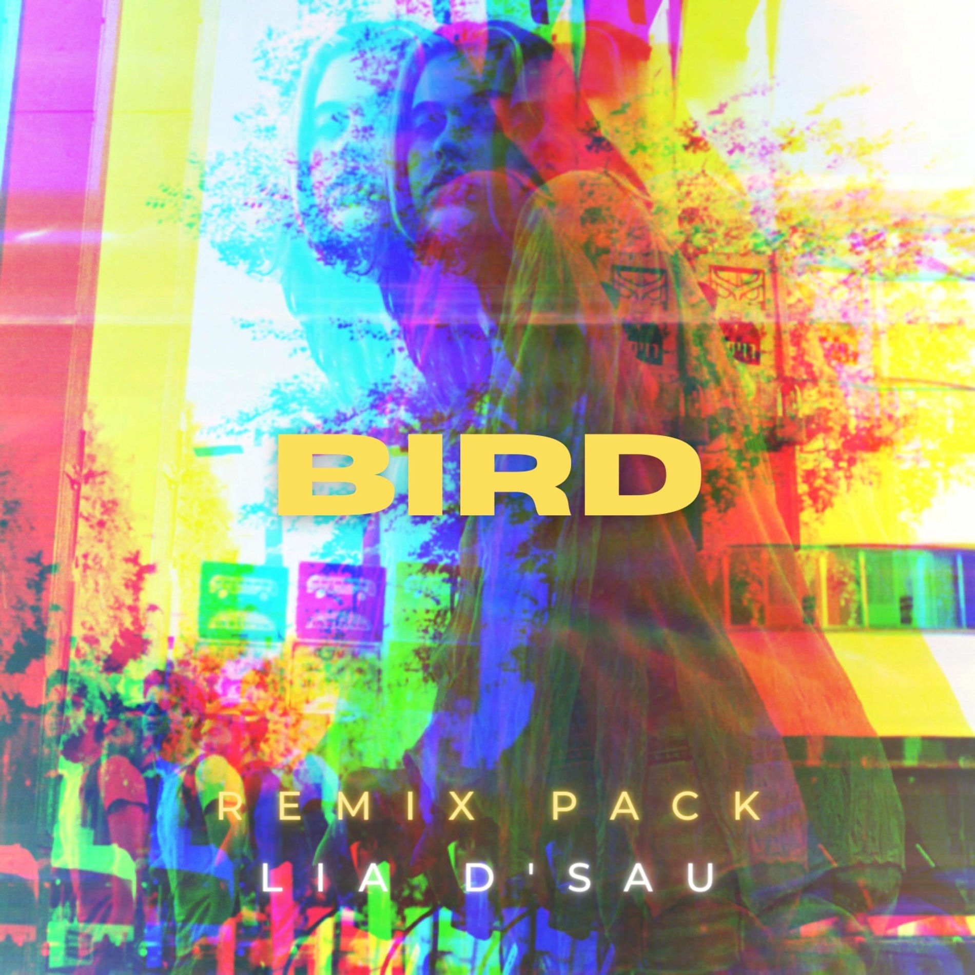 Album cover of Bird (Remix Pack)
