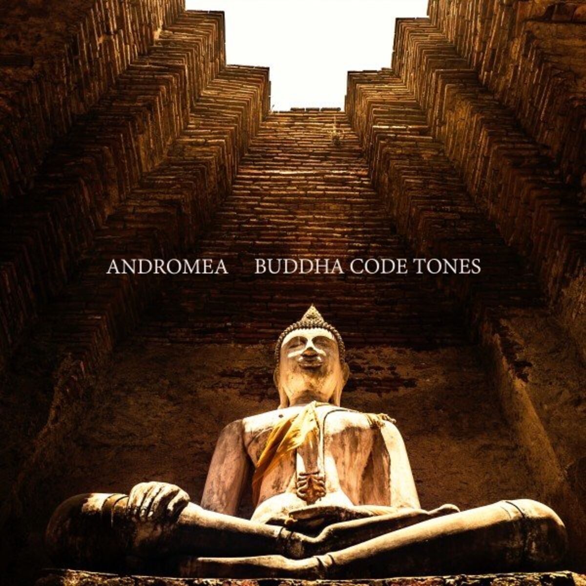 Album cover of Consciousness Frequency