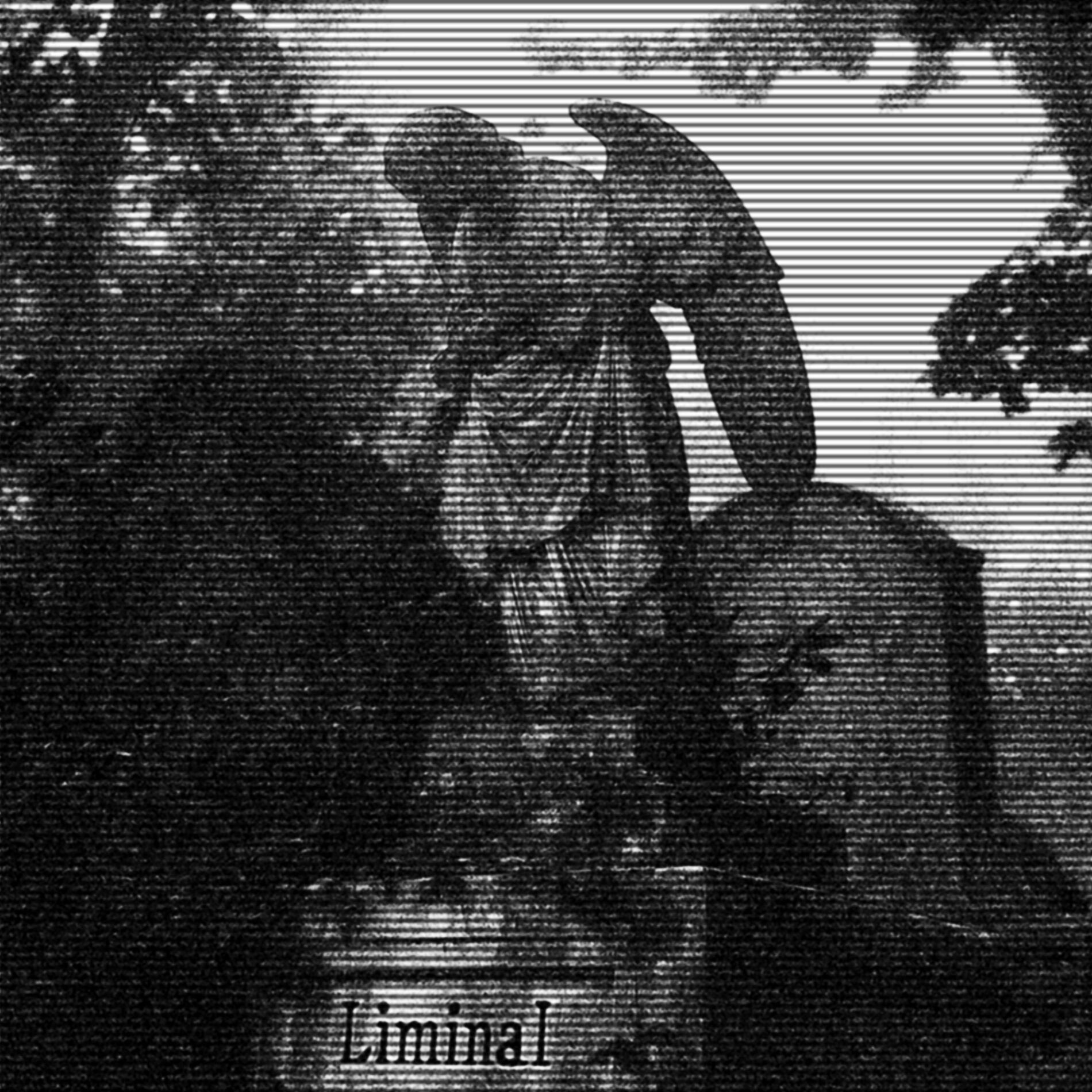 Album cover of Liminal