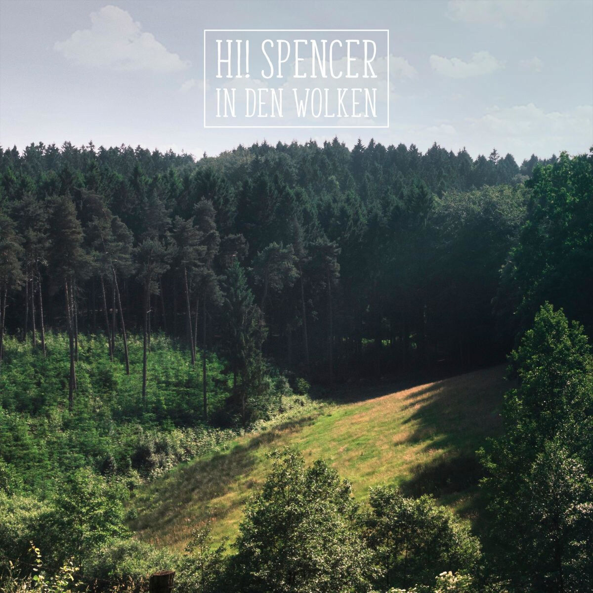 Album cover of In den Wolken
