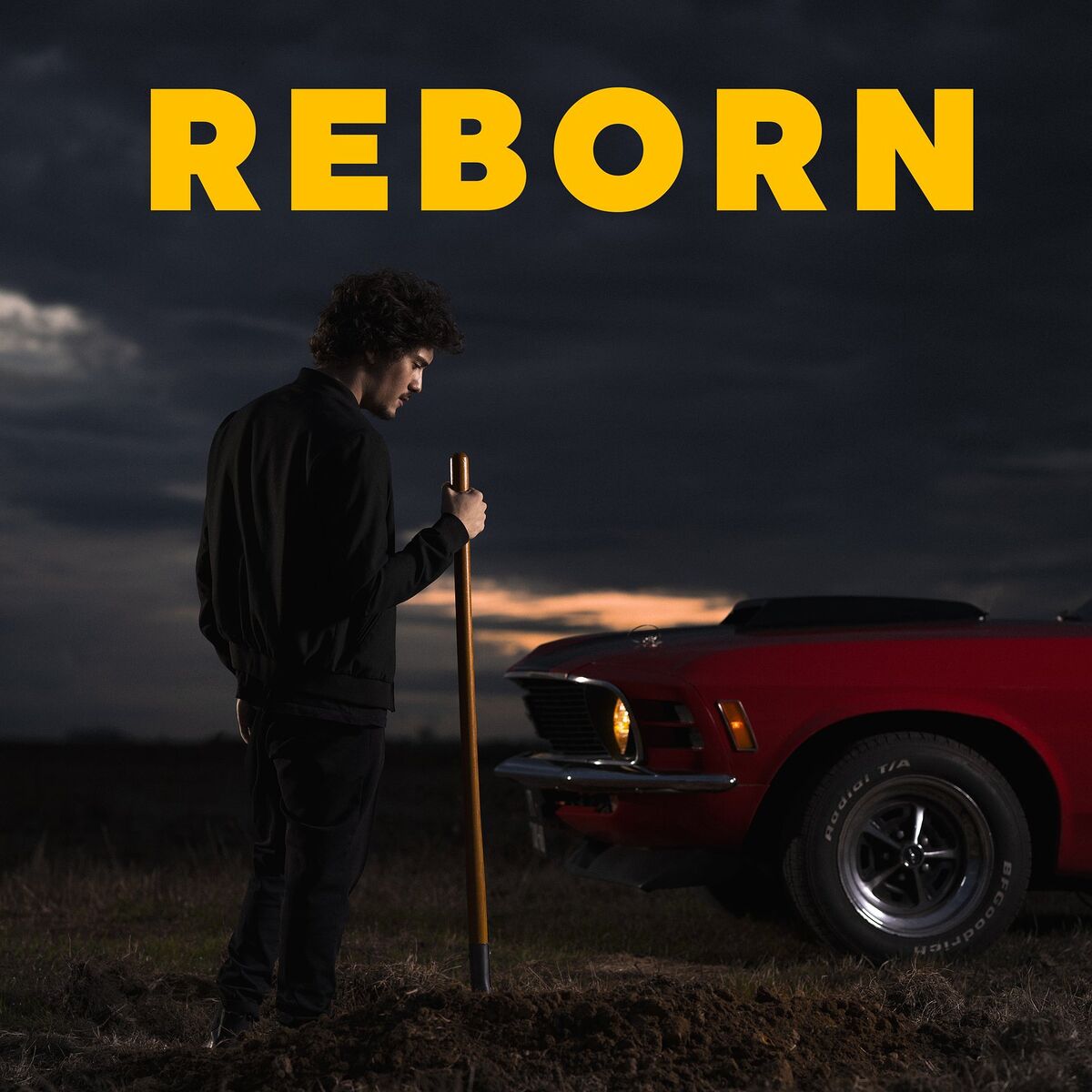 Album cover of Reborn