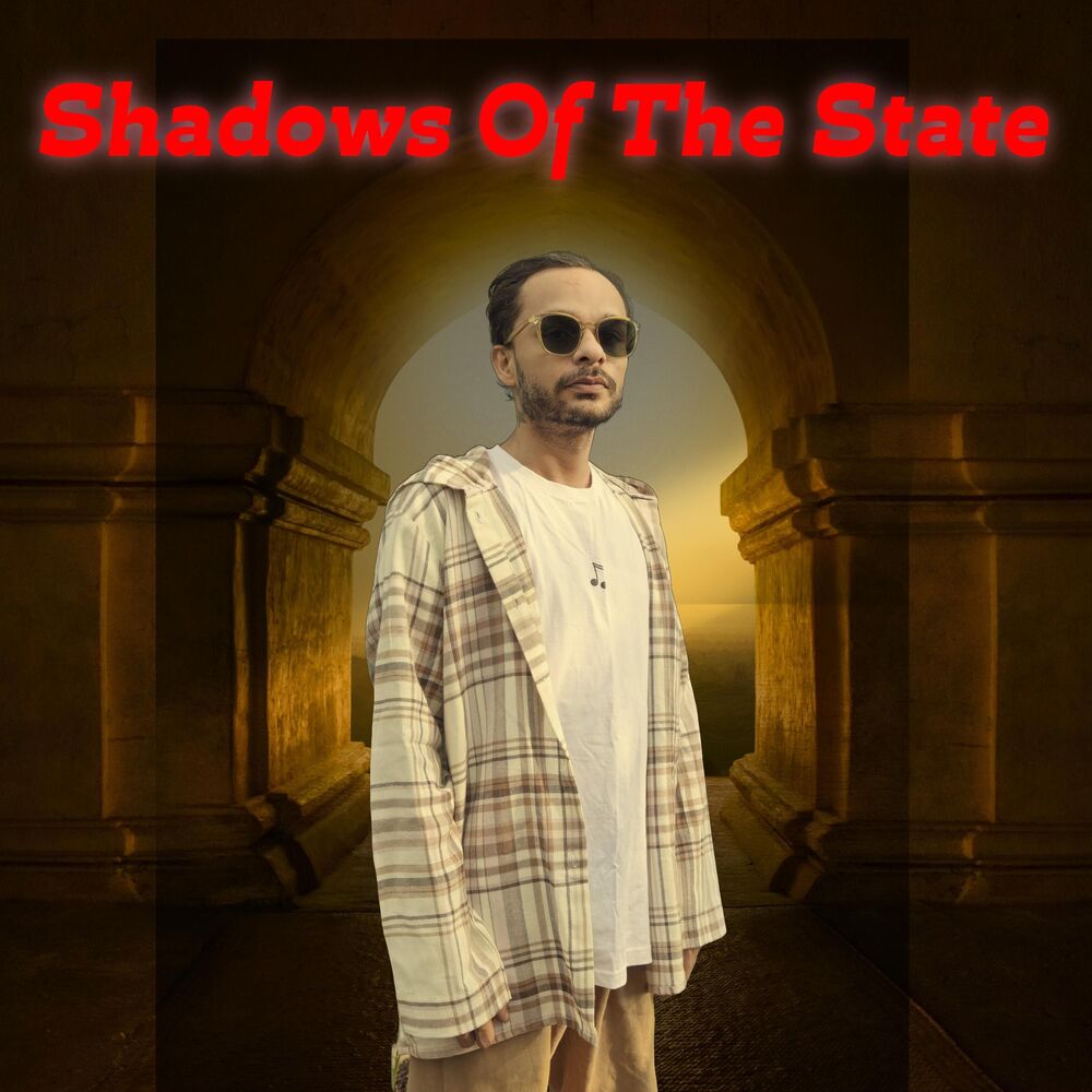 Picture of Shadows of the state