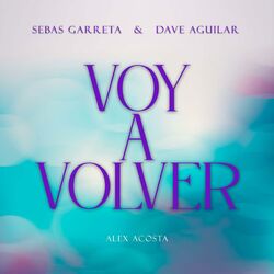 Cover of Voy A Volver