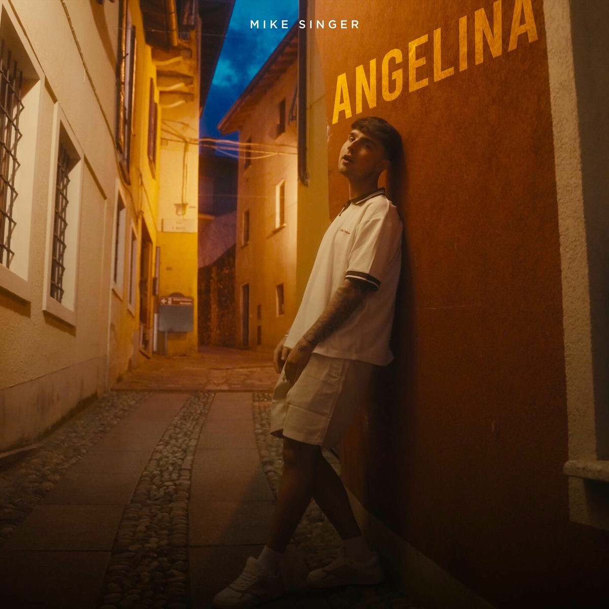 Album cover of ANGELINA
