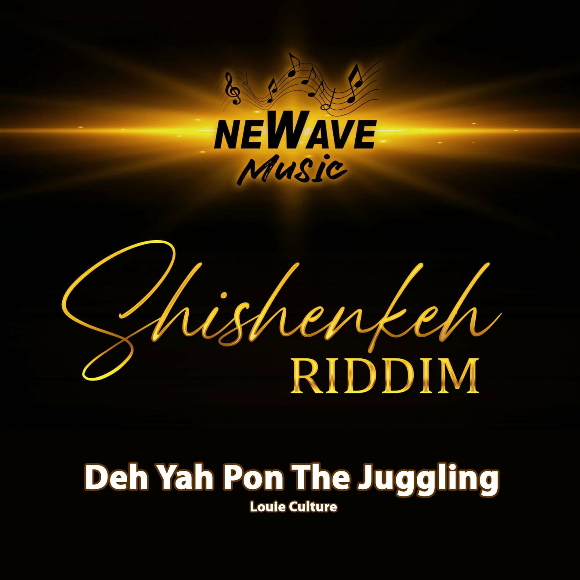 Album cover of Deh Yah Pon The Juggling