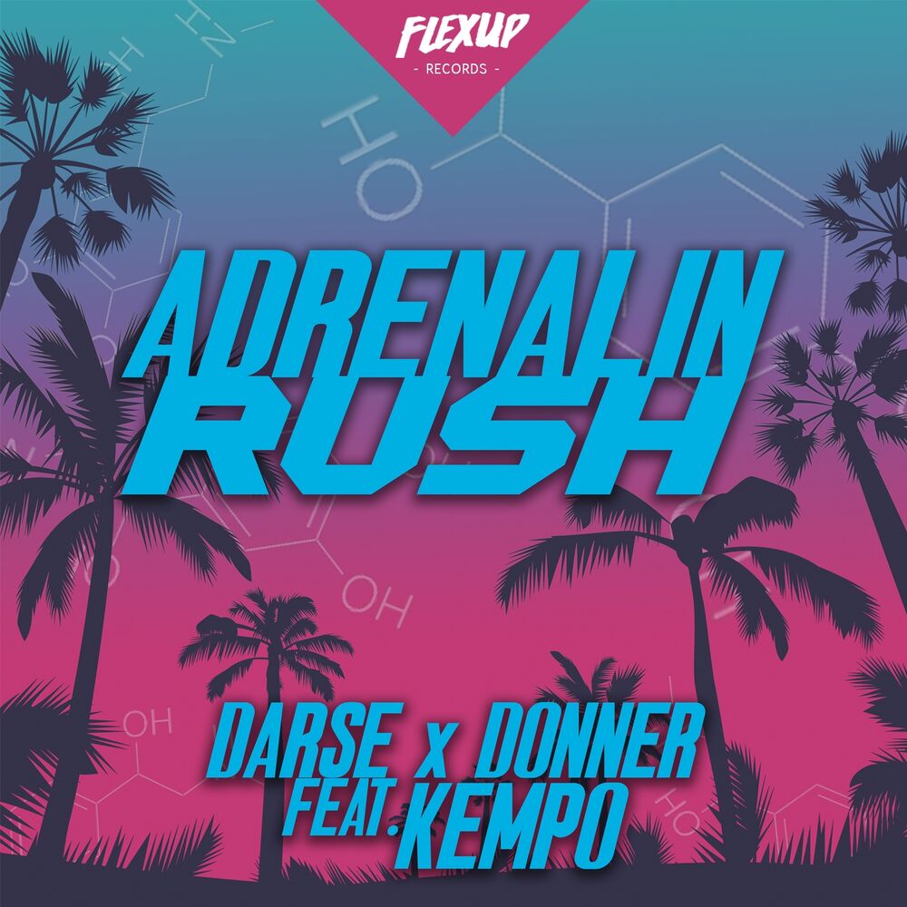 Picture of Adrenalin Rush