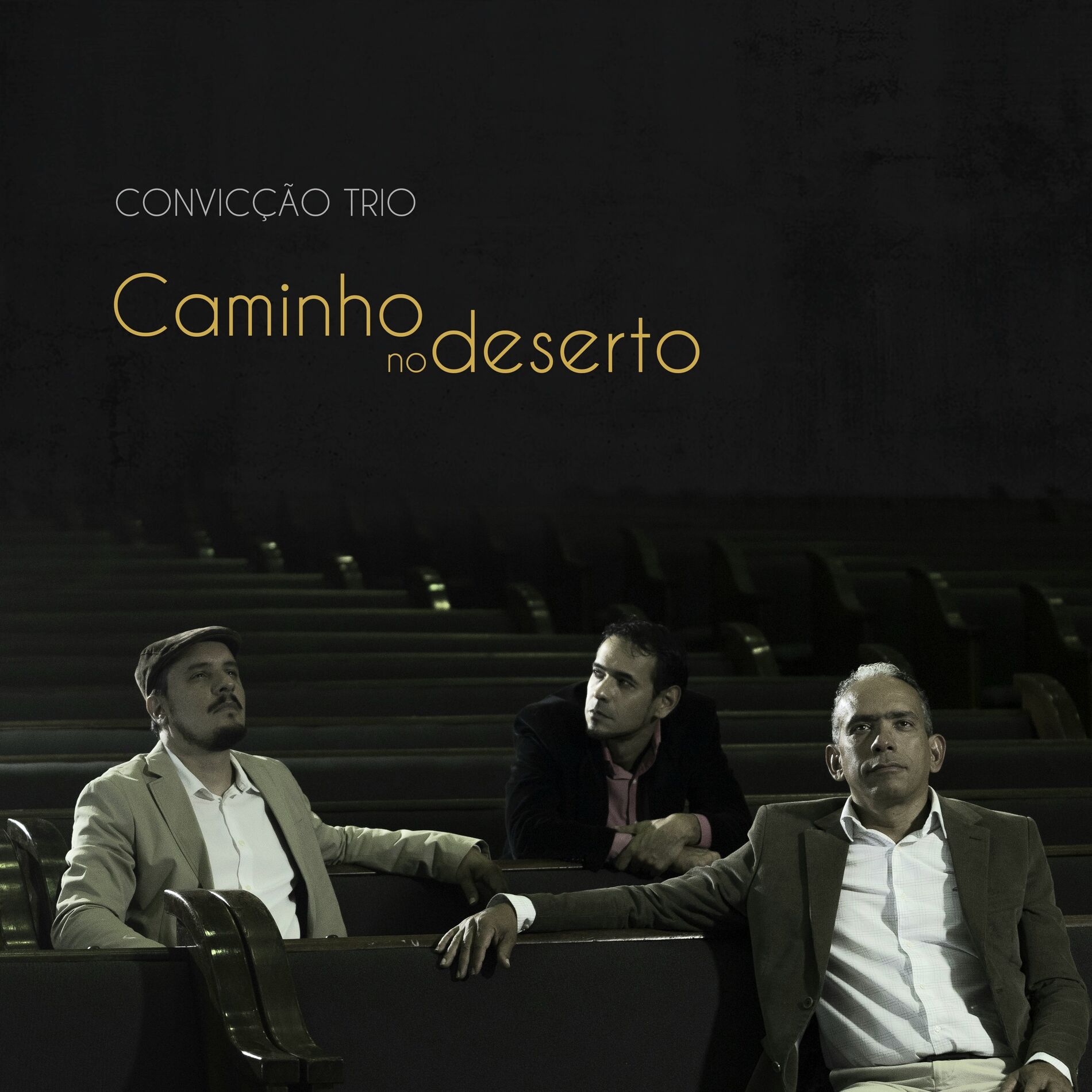 Album cover of Caminho no Deserto