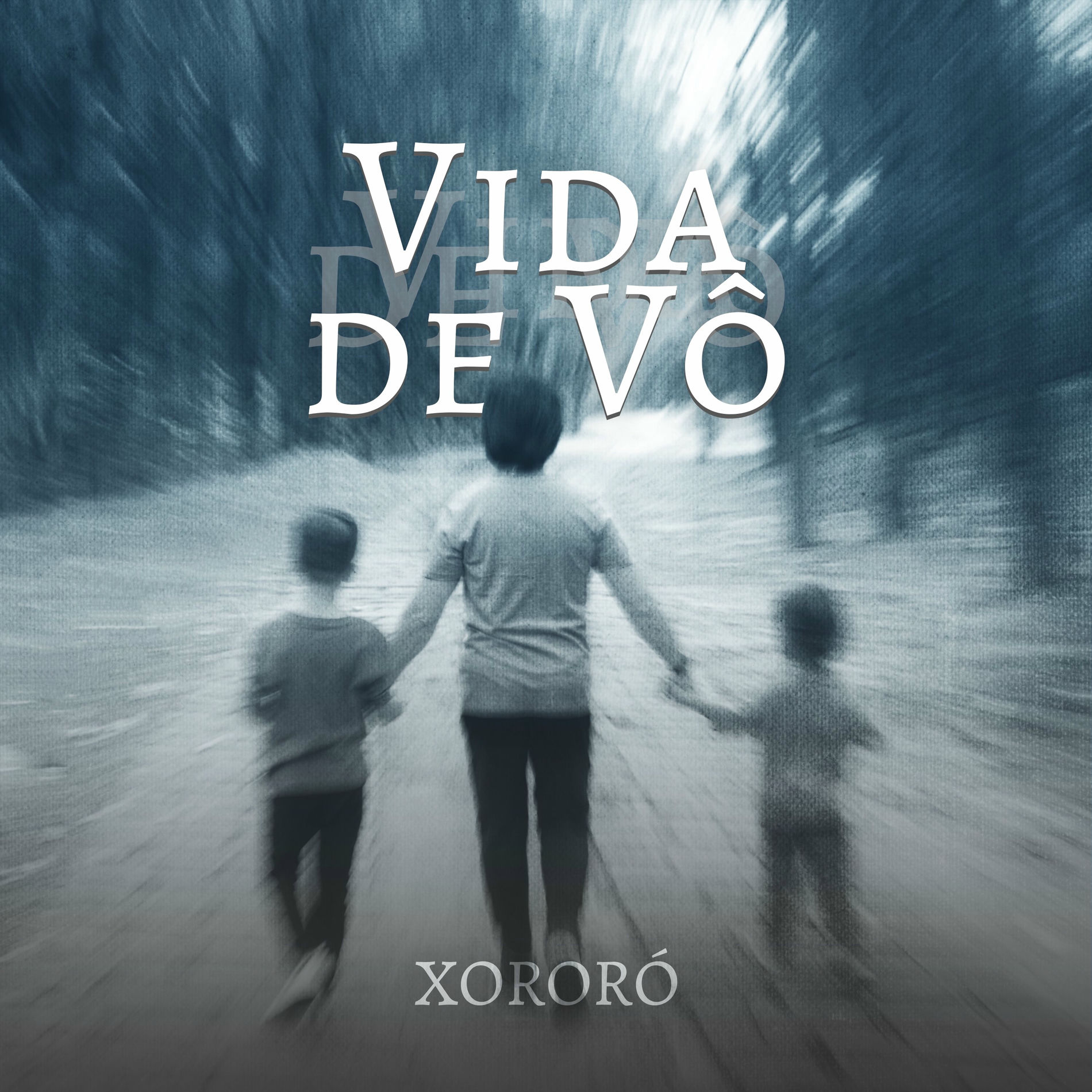 Album cover of Vida de Vô