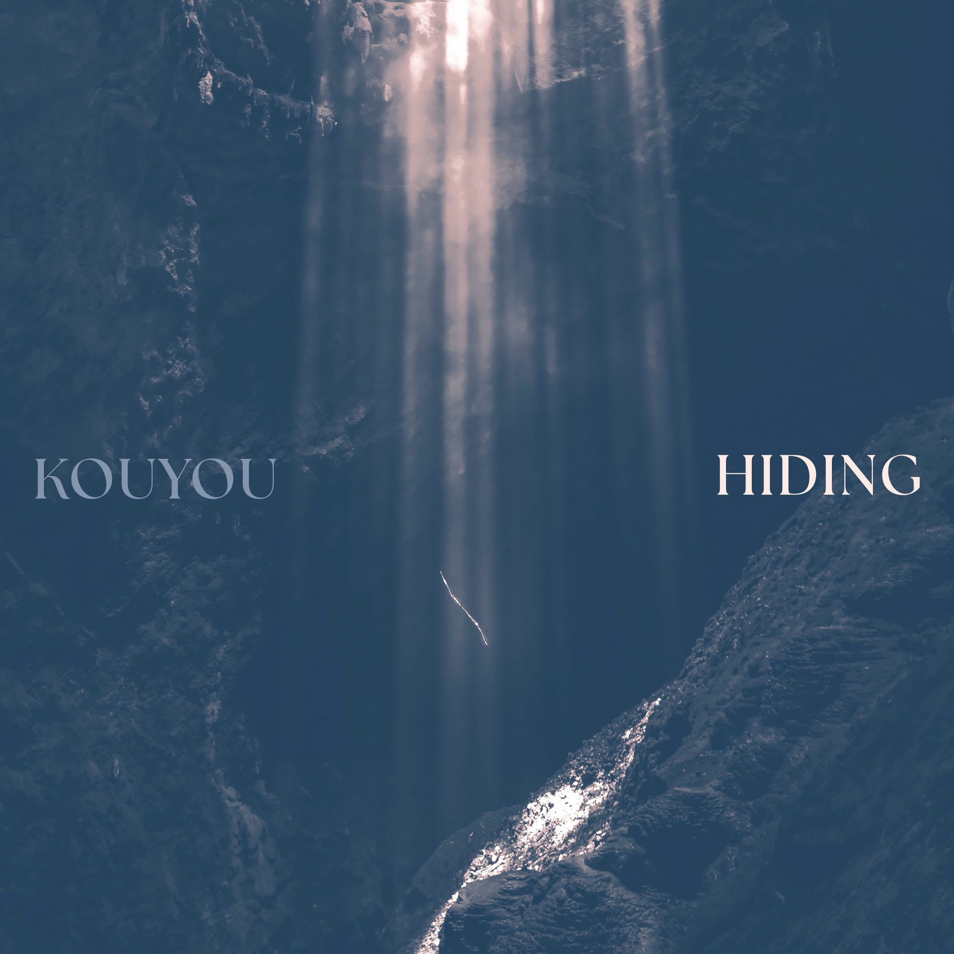 Album cover of Hiding