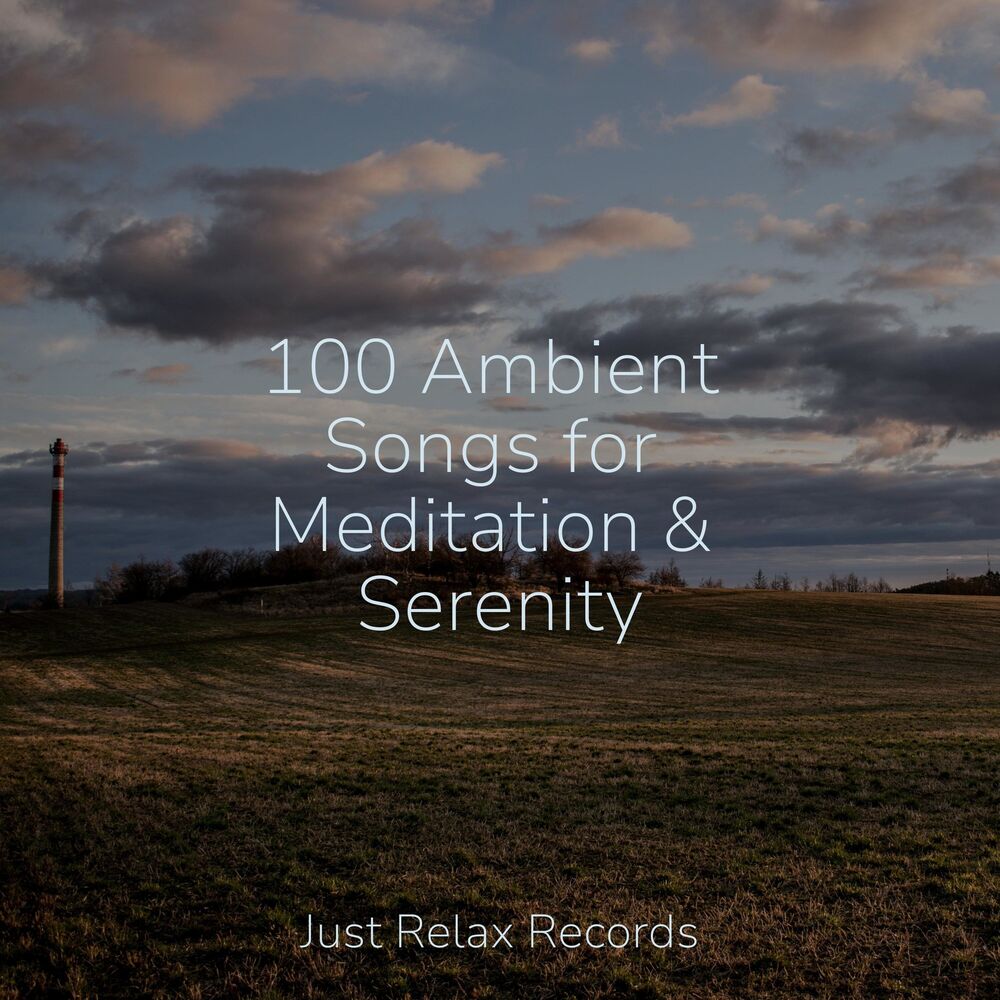 Picture of 100 Ambient Songs for Meditation & Serenity