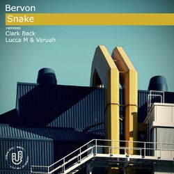 Cover of Snake