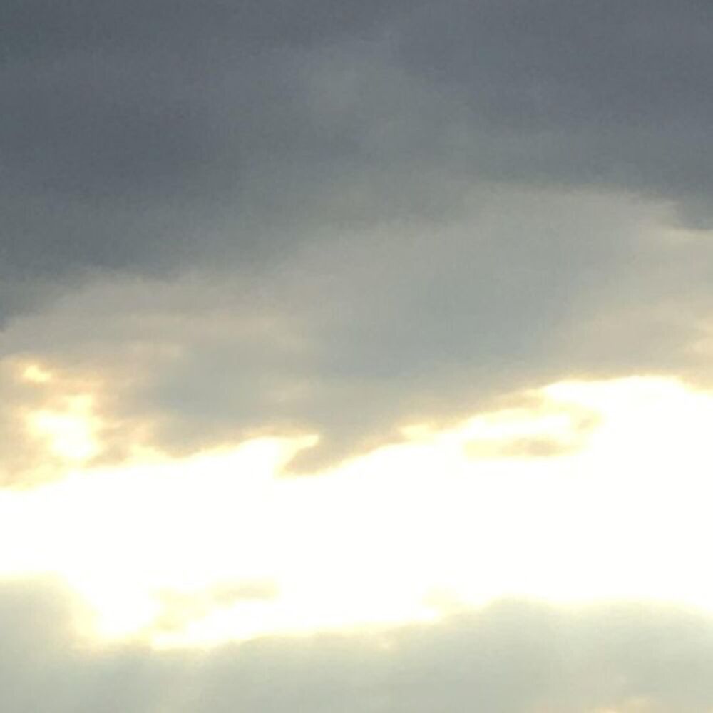 Picture of Dawn