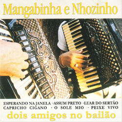 Cover of Dois Amigos No Bailão