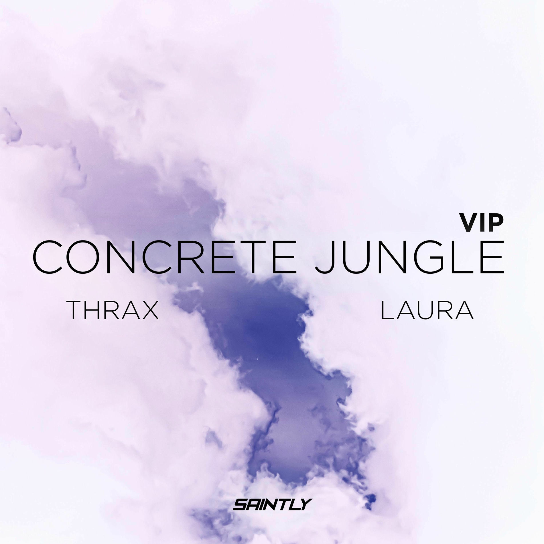 Album cover of Concrete Jungle (VIP Edit)