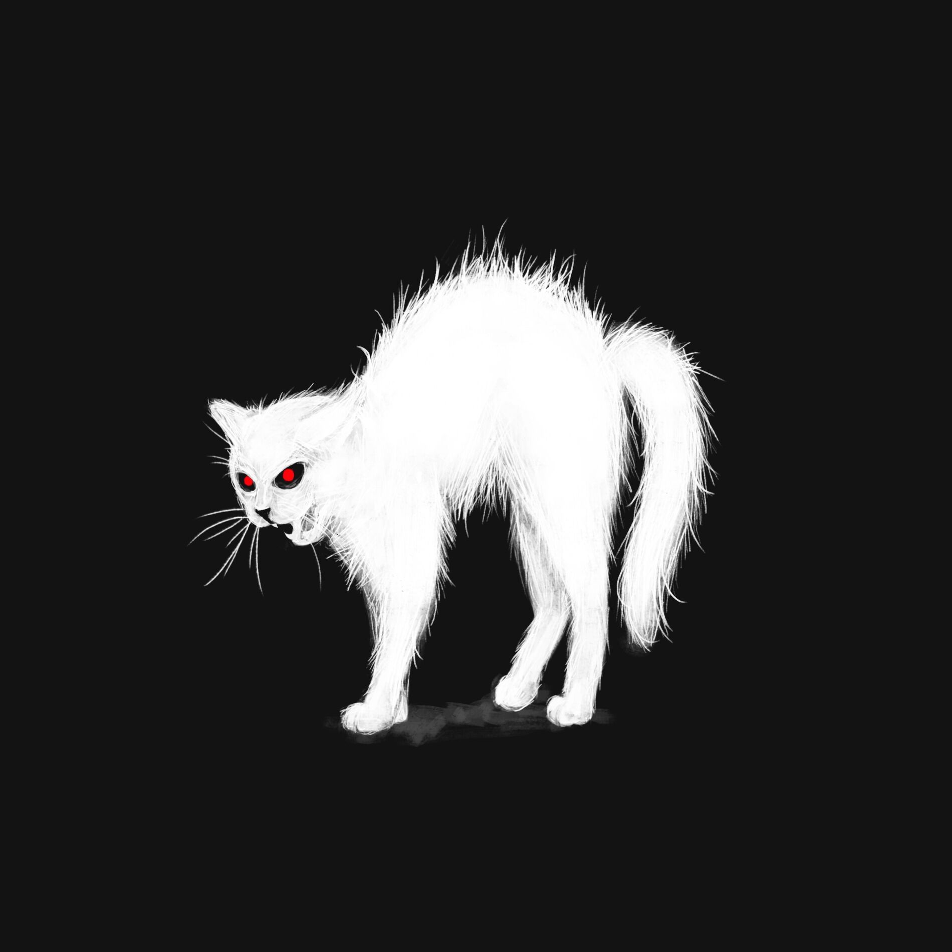 Album cover of Hexenkatze