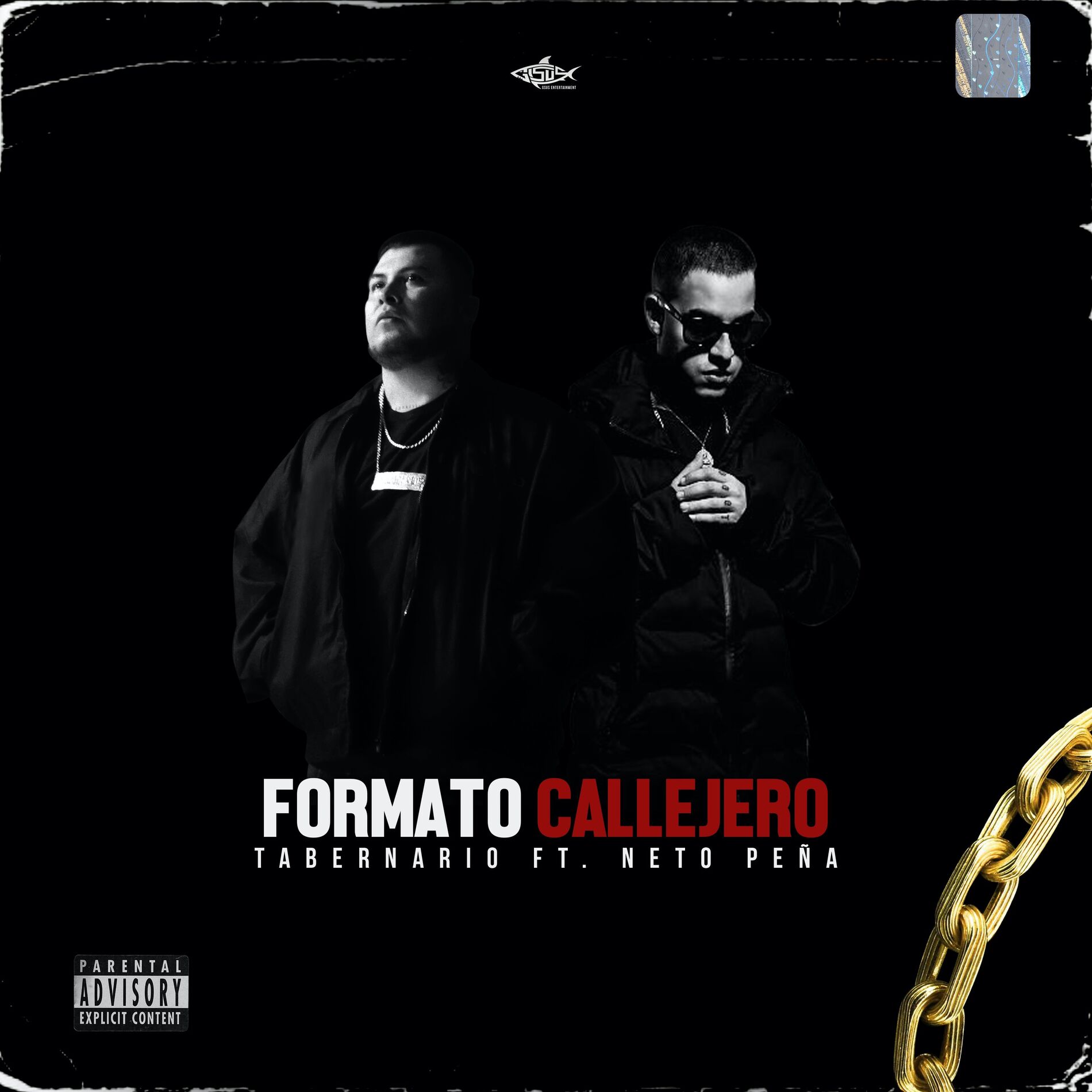 Album cover of Formato Callejero