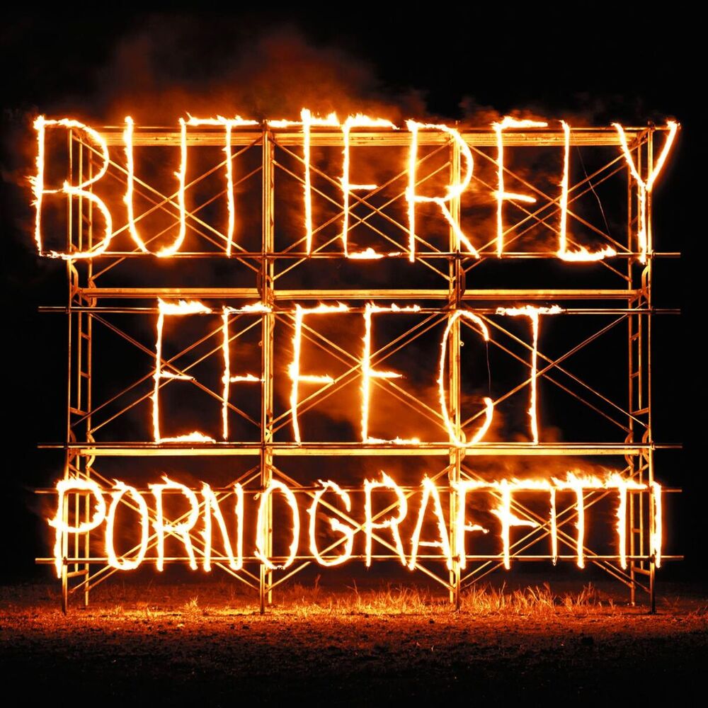 Picture of Butterfly Effect