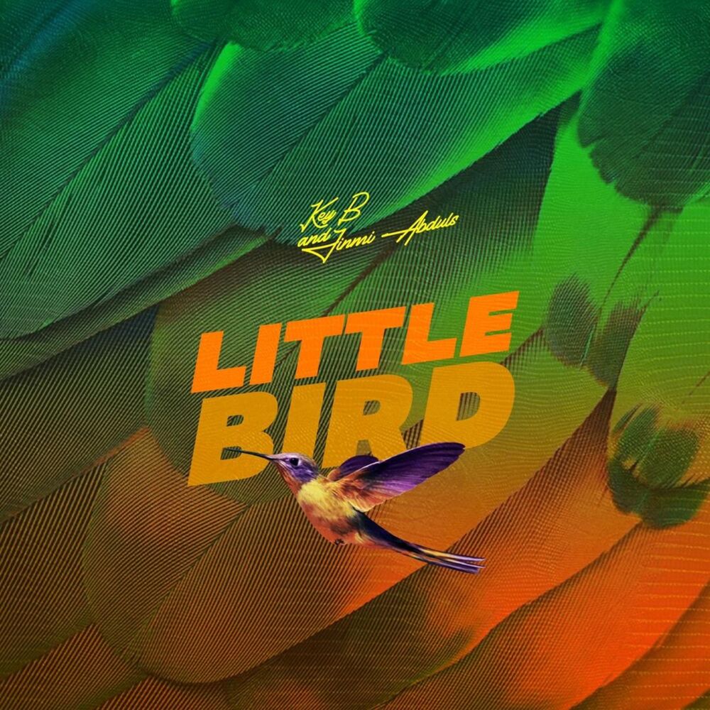 Picture of Little Bird