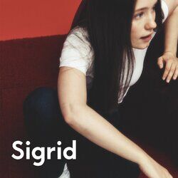 Cover of The Hype
