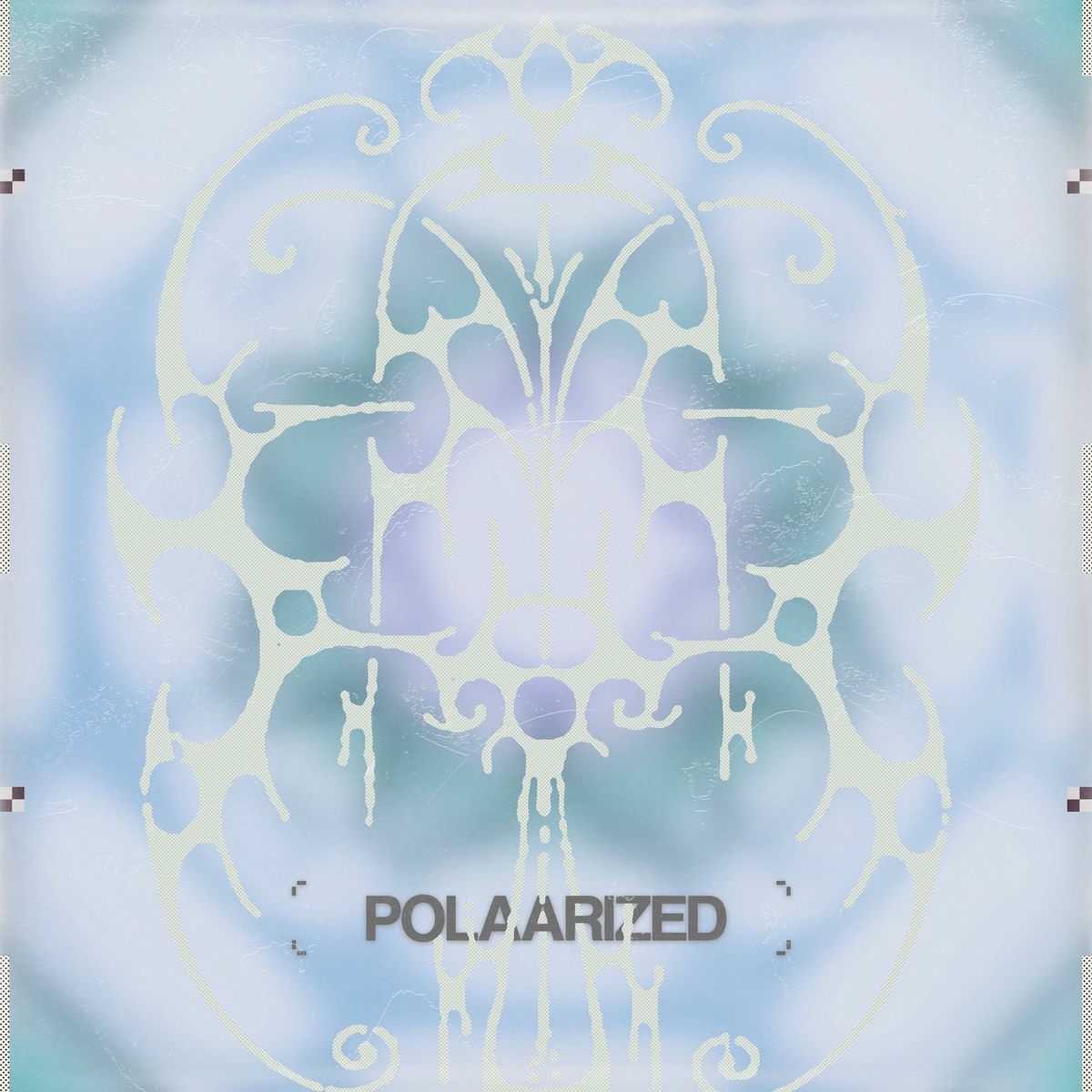 Album cover of POLAARIZED