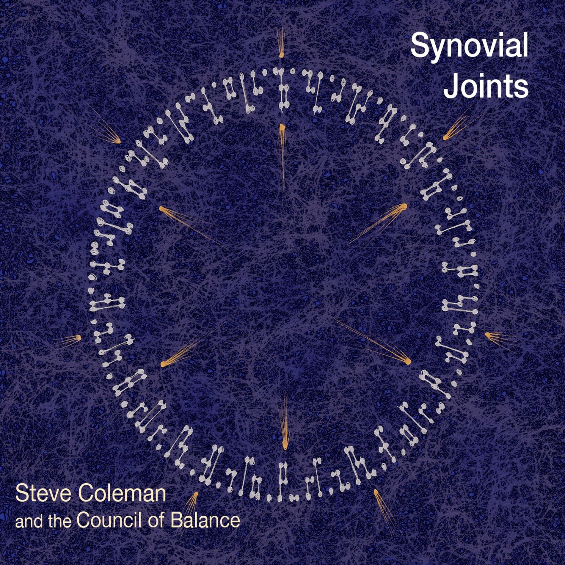 Album cover of Synovial Joints