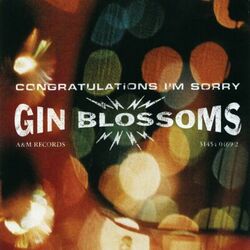 Cover of Congratulations I'm Sorry